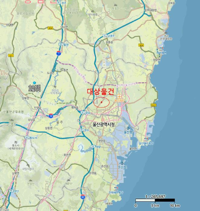 울산광역시 중구 성안동 산194-9 임야 경매 사진 9