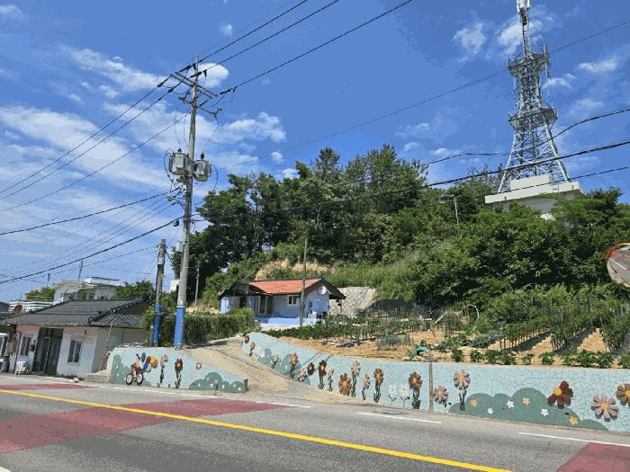 강원특별자치도 고성군 현내면 대진리 산75 임야 경매 사진 5
