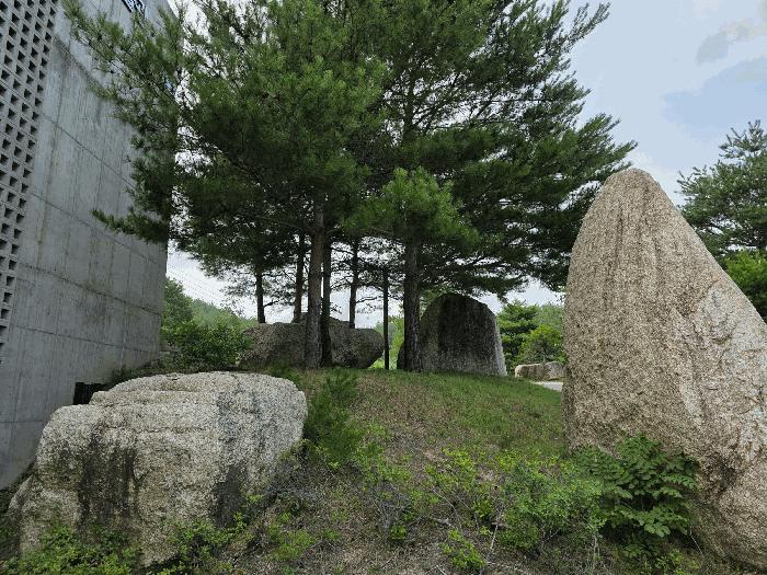 강원특별자치도 고성군 죽왕면 야촌리 1024-44 근린시설 경매 사진 9