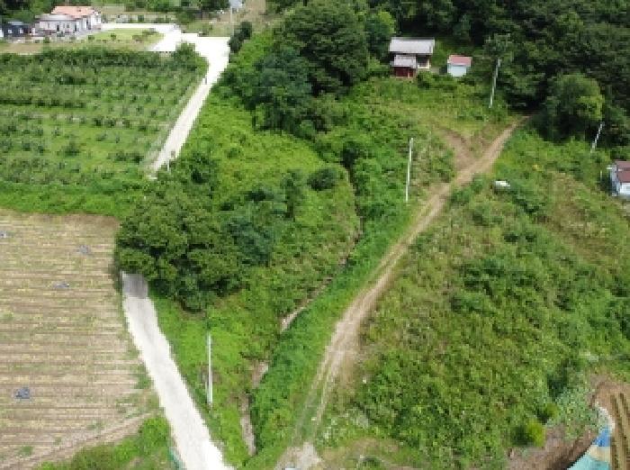 충청북도 청주시 상당구 낭성면 갈산리 80 전 경매 사진 4