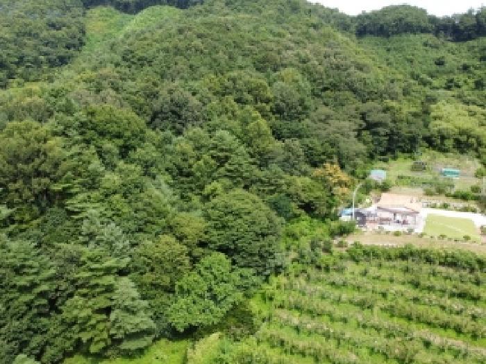 충청북도 청주시 상당구 낭성면 갈산리 73 묘지 경매 사진 6