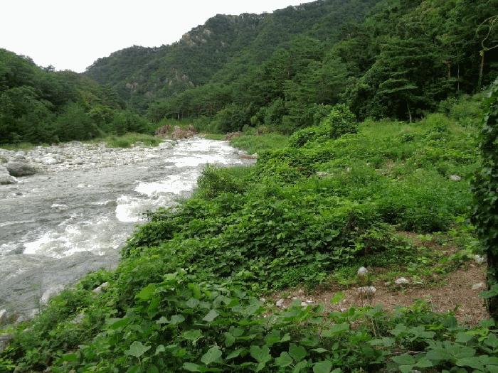 강원특별자치도 양양군 서면 오색리 84 답 경매 사진 1