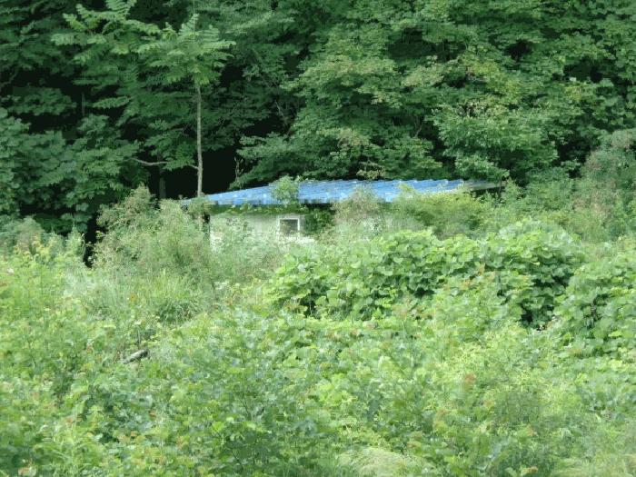 강원특별자치도 양양군 서면 오색리 84 답 경매 사진 2