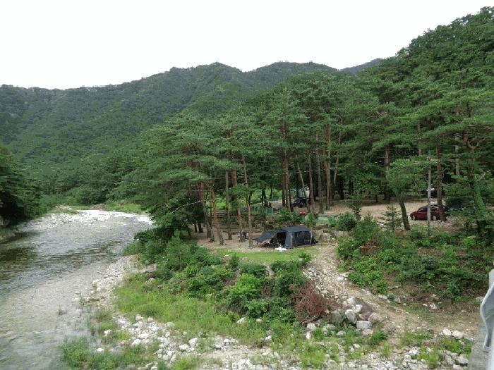 강원특별자치도 양양군 서면 오색리 84 답 경매 사진 3