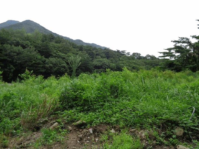 강원특별자치도 양양군 서면 오색리 84 답 경매 사진 4