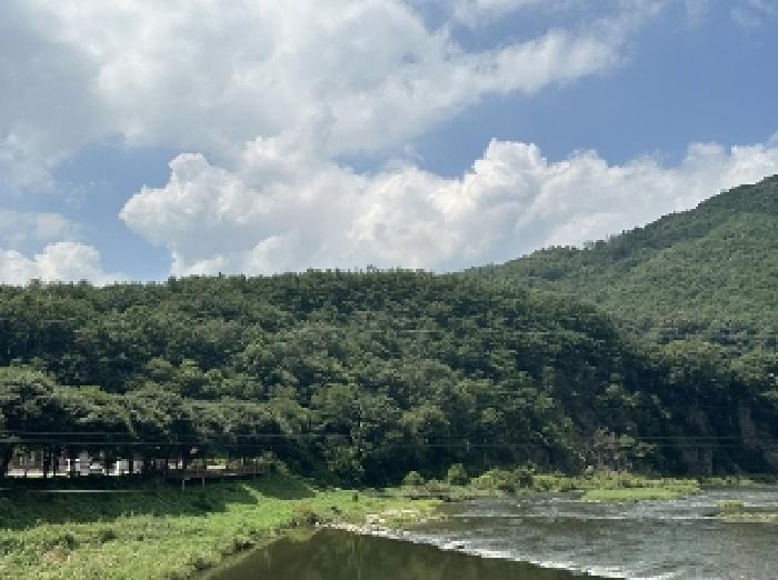 충청북도 괴산군 청천면 도원리 산12-3 임야 경매 사진 14