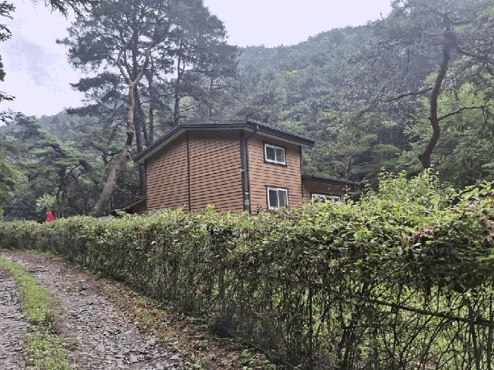 충청북도 괴산군 청천면 무릉리 산5-5 임야 경매 사진 4