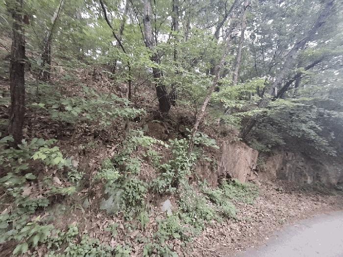 충청북도 괴산군 청천면 후영리 산21 임야 경매 사진 6