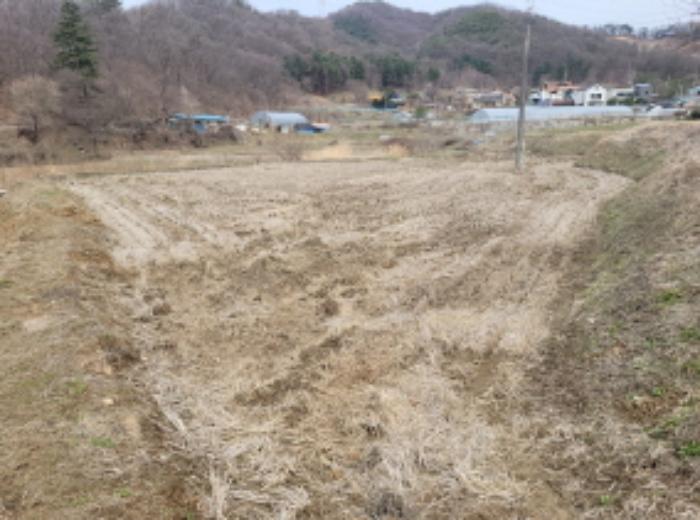 경기도 양평군 양서면 신원리 산95 임야 경매 사진 1