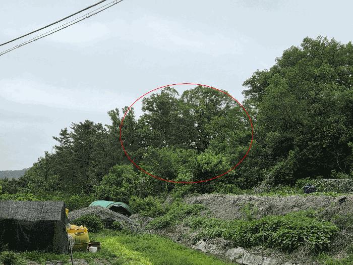 대구광역시 북구 서변동 1310 전 경매 사진 3