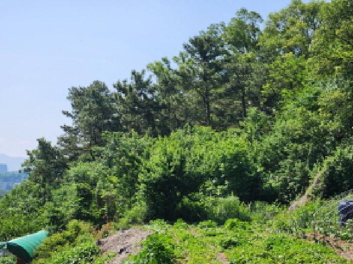 대구광역시 북구 서변동 1310 전 경매 사진 5
