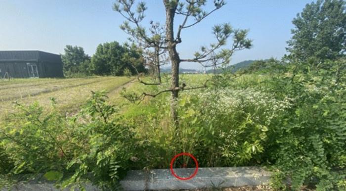 세종특별자치시 연서면 봉암리 198-4 답 경매 사진 43