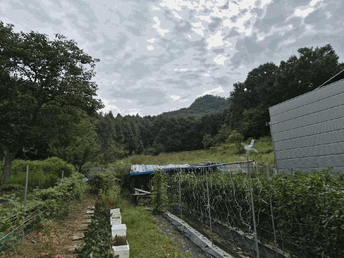 세종특별자치시 소정면 소정리 565-2 전 경매 사진 2