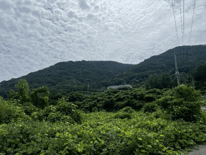 경상남도 창원시 마산합포구 임야