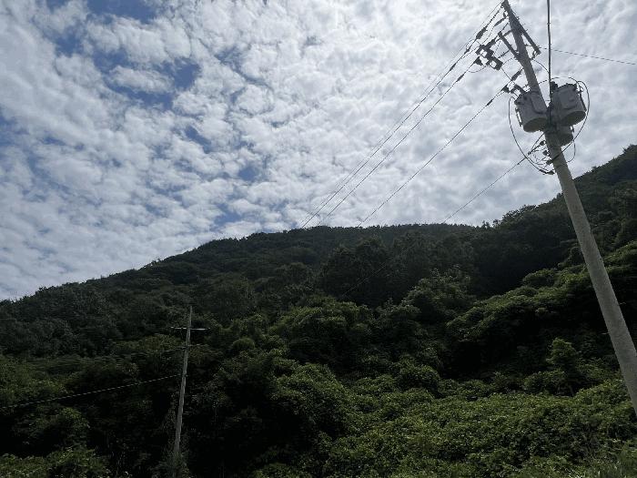 경상남도 창원시 마산합포구 구산면 수정리 산146 임야 경매 사진 2