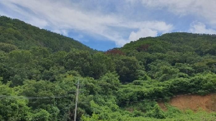 경상남도 창원시 마산합포구 구산면 수정리 산146 임야 경매 사진 3
