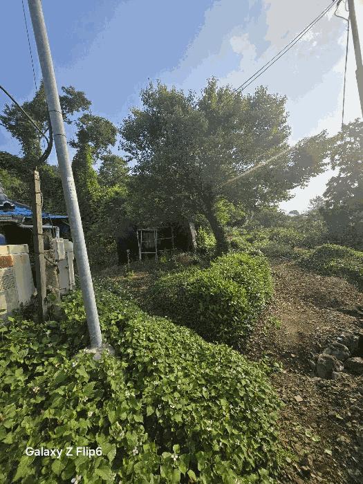 경상남도 창원시 마산합포구 덕동동 761 전 경매 사진 4