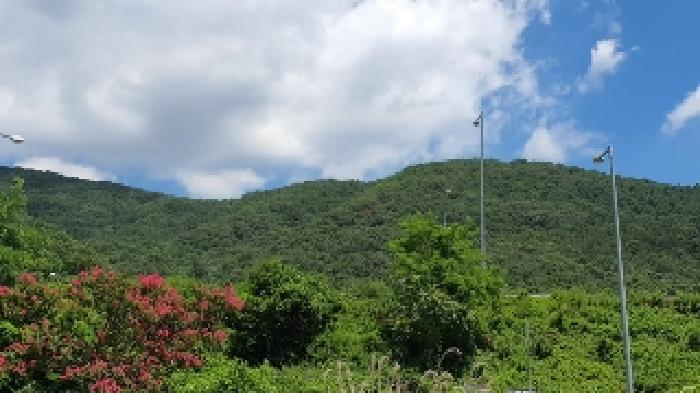 경상남도 창원시 마산합포구 진북면 대티리 산109 임야 경매 사진 7