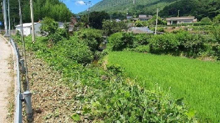 경상남도 창원시 마산합포구 진북면 대티리 산109 임야 경매 사진 9