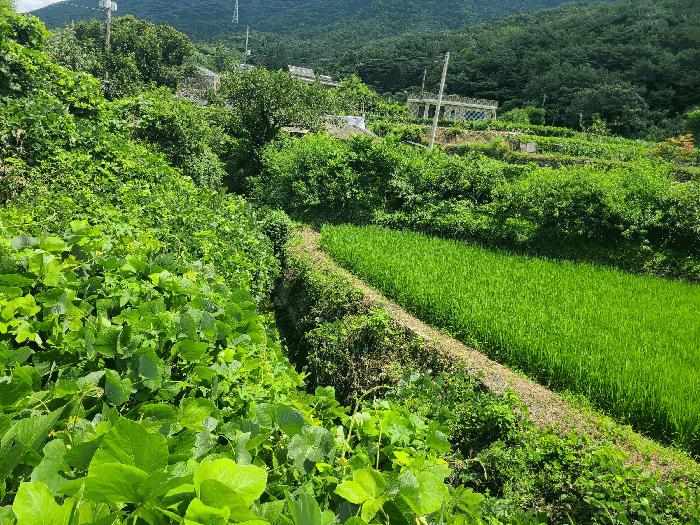 경상남도 창원시 마산합포구 진북면 정현리 573-2 대지 경매 사진 3