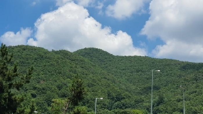 경상남도 창원시 마산합포구 진북면 정현리 573-2 대지 경매 사진 8