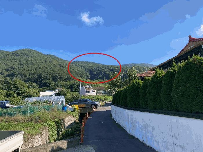 경상남도 창원시 마산회원구 내서읍 안성리 225 답 경매 사진 2