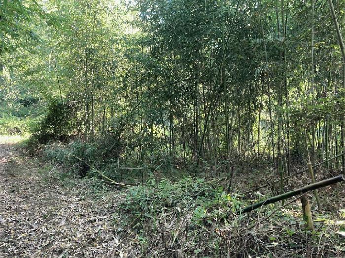 경상남도 창원시 마산회원구 내서읍 안성리 225 답 경매 사진 4