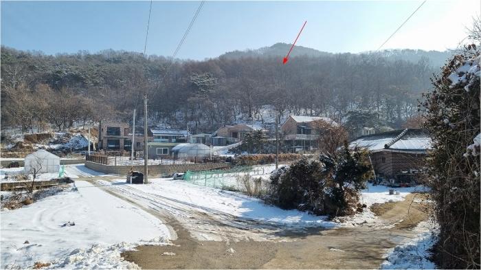 인천광역시 강화군 하점면 삼거리 924-37 임야 경매 사진 1