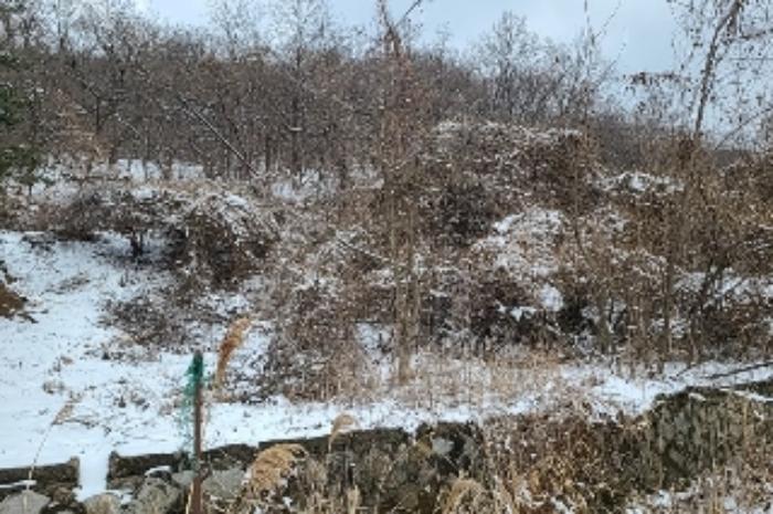 인천광역시 강화군 하점면 삼거리 924-37 임야 경매 사진 12