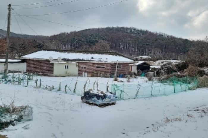 인천광역시 강화군 하점면 삼거리 924-37 임야 경매 사진 18