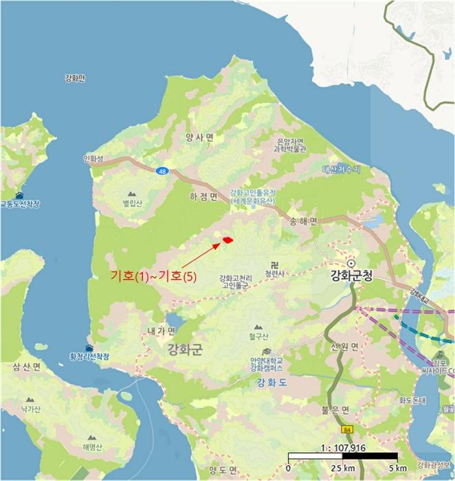 인천광역시 강화군 하점면 삼거리 924-37 임야 경매 사진 20