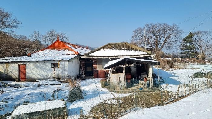 인천광역시 강화군 하점면 삼거리 924-37 임야 경매 사진 7