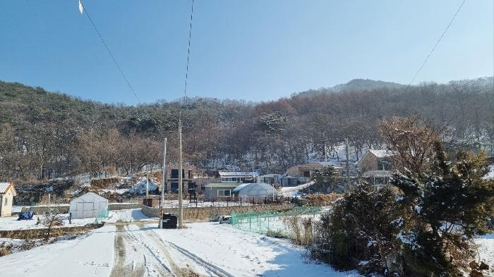인천광역시 강화군 하점면 삼거리 924-37 임야 경매 사진 8