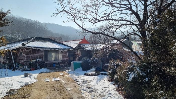 인천광역시 강화군 하점면 삼거리 922-2 대지 경매 사진 4