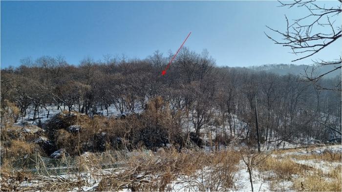 인천광역시 강화군 하점면 삼거리 922-2 대지 경매 사진 5
