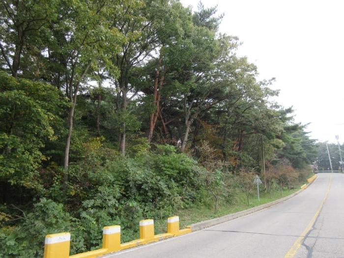 인천광역시 옹진군 덕적면 진리 산61 임야 경매 사진 10