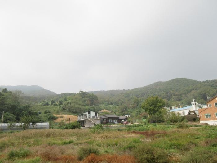 인천광역시 옹진군 덕적면 진리 산61 임야 경매 사진 11
