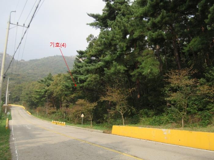 인천광역시 옹진군 덕적면 진리 산61 임야 경매 사진 4