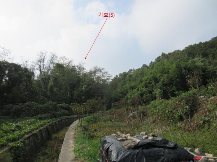 인천광역시 옹진군 덕적면 진리 산61 임야 경매 사진 5