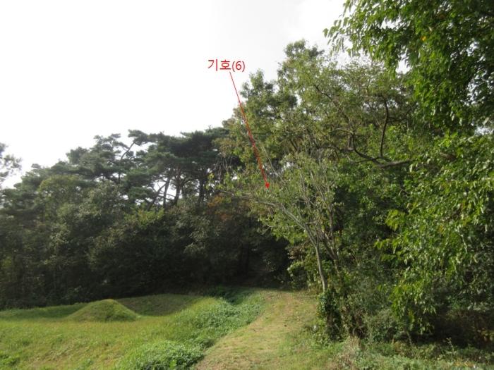 인천광역시 옹진군 덕적면 진리 산61 임야 경매 사진 6