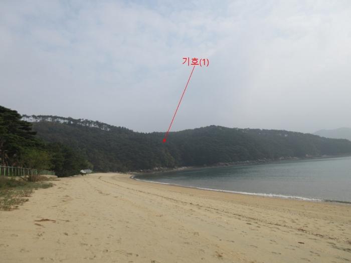 인천광역시 옹진군 덕적면 진리 산61 임야 경매 사진 7