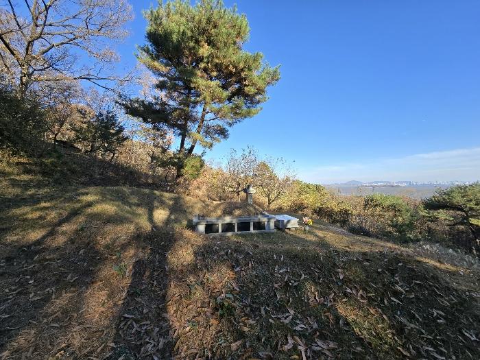 인천광역시 강화군 길상면 동검리 산59 임야 경매 사진 2