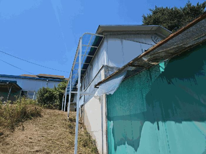 강원특별자치도 춘천시 동내면 고은리 7-13 과수원 경매 사진 56