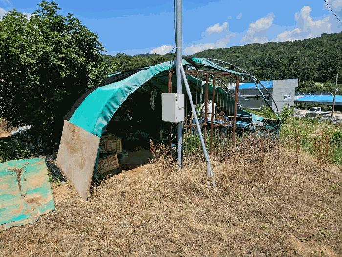 강원특별자치도 춘천시 동내면 고은리 7-13 과수원 경매 사진 79