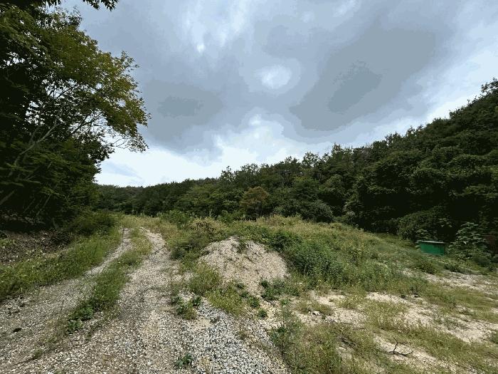 경상북도 포항시 북구 양덕동 산216-8 임야 경매 사진 2