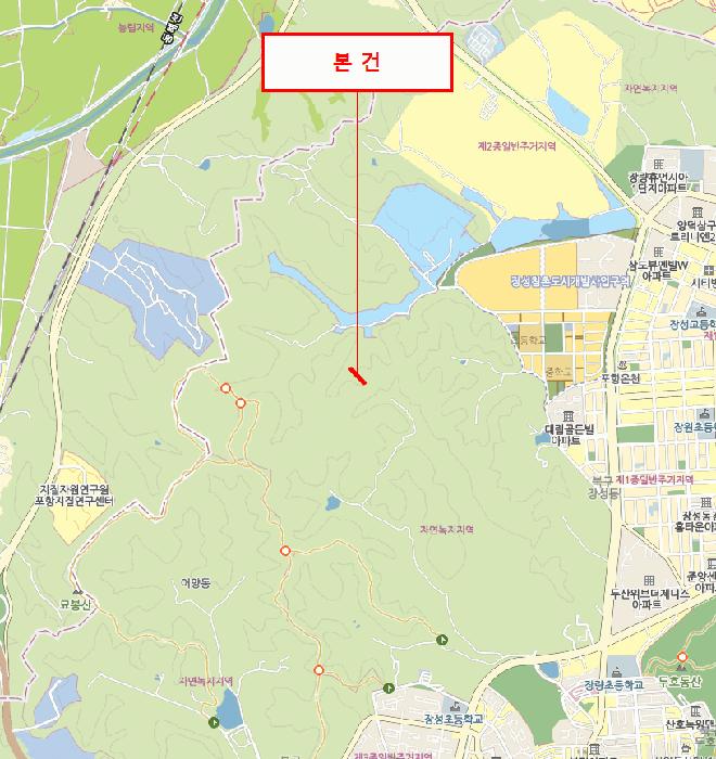 경상북도 포항시 북구 양덕동 산216-8 임야 경매 사진 5