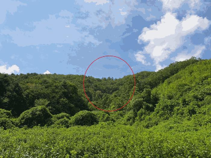 강원특별자치도 홍천군 서면 팔봉리 산243 임야 경매 사진 2