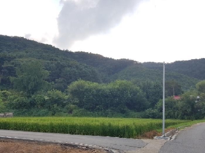 강원특별자치도 홍천군 서면 팔봉리 산243 임야 경매 사진 3