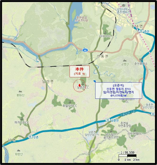 강원특별자치도 홍천군 서면 팔봉리 산243 임야 경매 사진 4