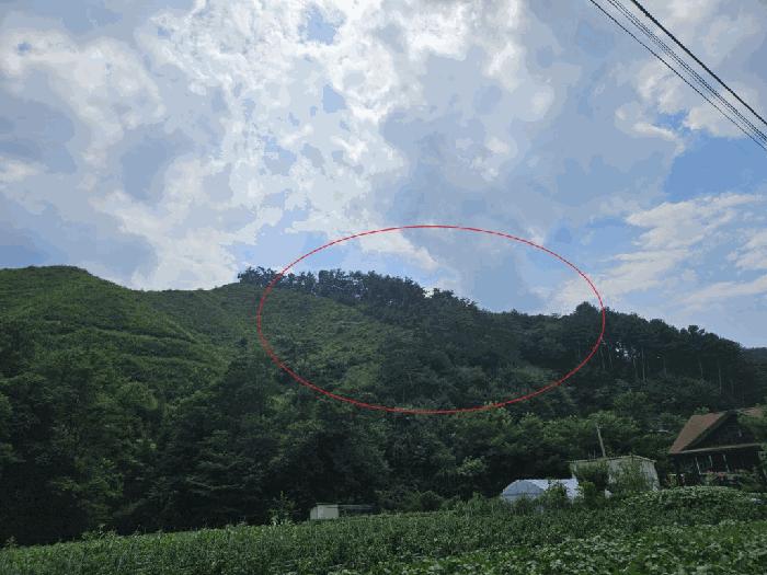 강원특별자치도 홍천군 남면 화전리 347 임야 경매 사진 3